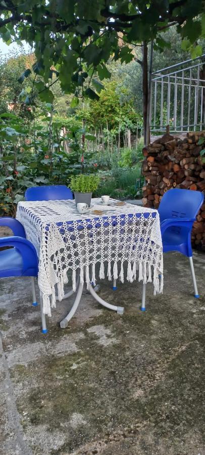 Apartament Teuta Permet Luaran gambar