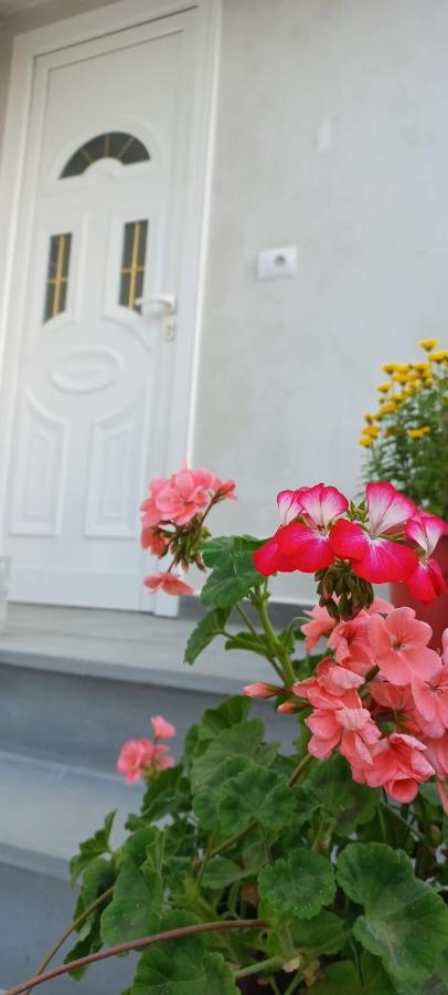 Apartament Teuta Permet Luaran gambar