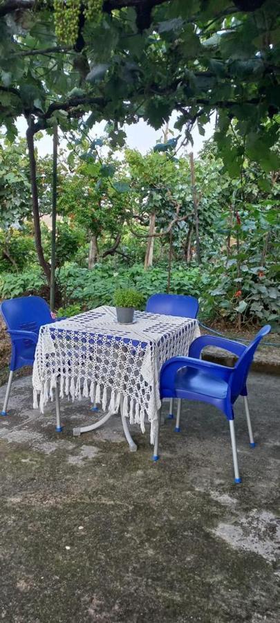 Apartament Teuta Permet Luaran gambar