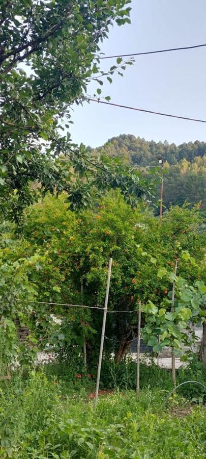Apartament Teuta Permet Luaran gambar
